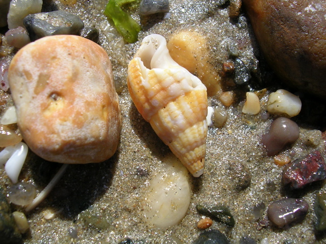 DSCN6752.JPG