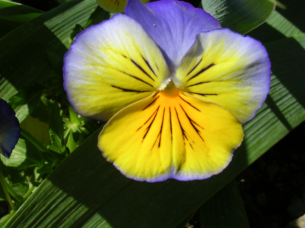 DSCN0449.JPG