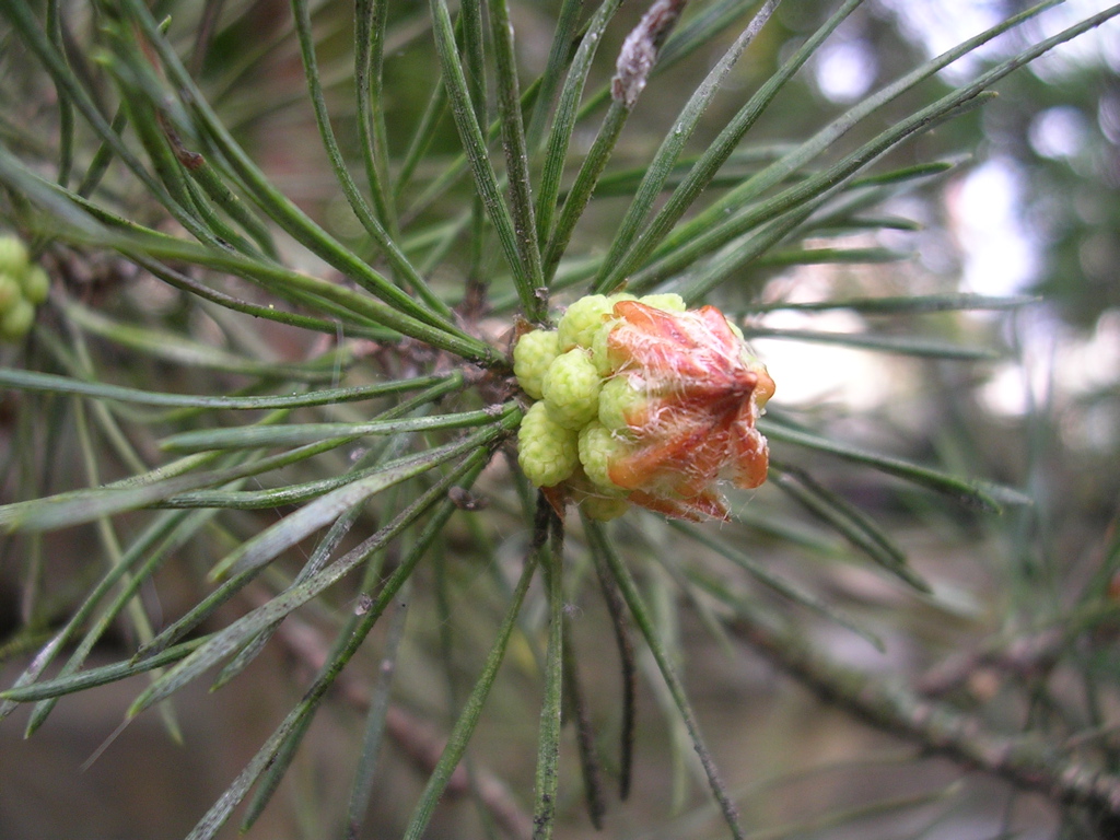 DSCN2874.JPG