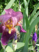 DSCN0120.JPG