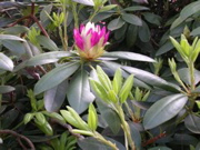 DSCN0123.JPG