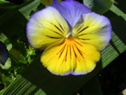 DSCN0449.JPG