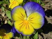 DSCN0450.JPG