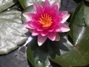 DSCN0635.JPG