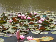 DSCN0636.JPG