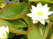 DSCN0637.JPG