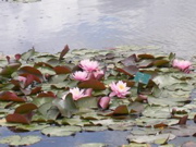 DSCN0638.JPG