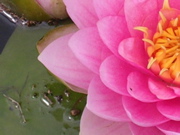 DSCN0639.JPG