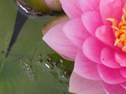 DSCN0640.JPG