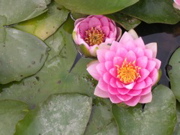 DSCN0641.JPG