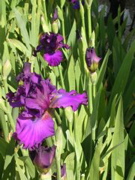 DSCN0111.JPG