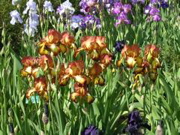 DSCN0112.JPG