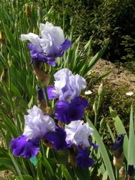 DSCN0114.JPG