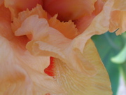 DSCN0119.JPG