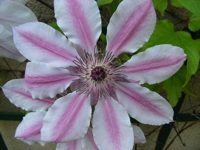 DSCN9651.JPG