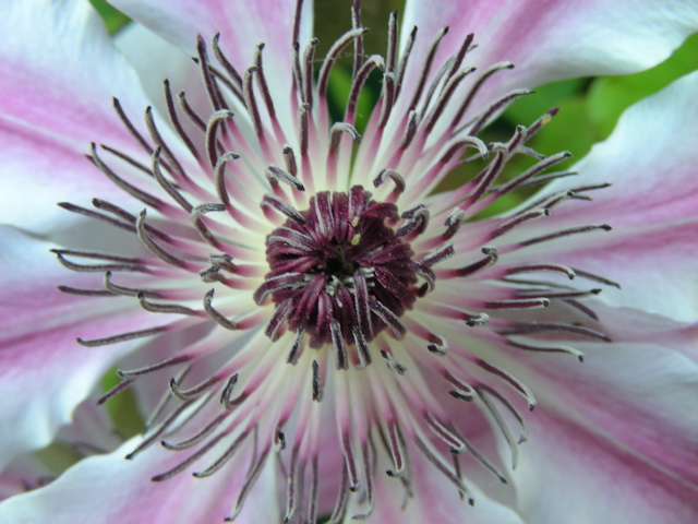 DSCN9652.JPG