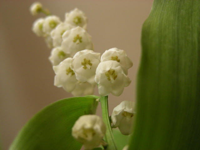DSCN9718.JPG