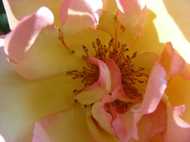 DSCN9662.JPG