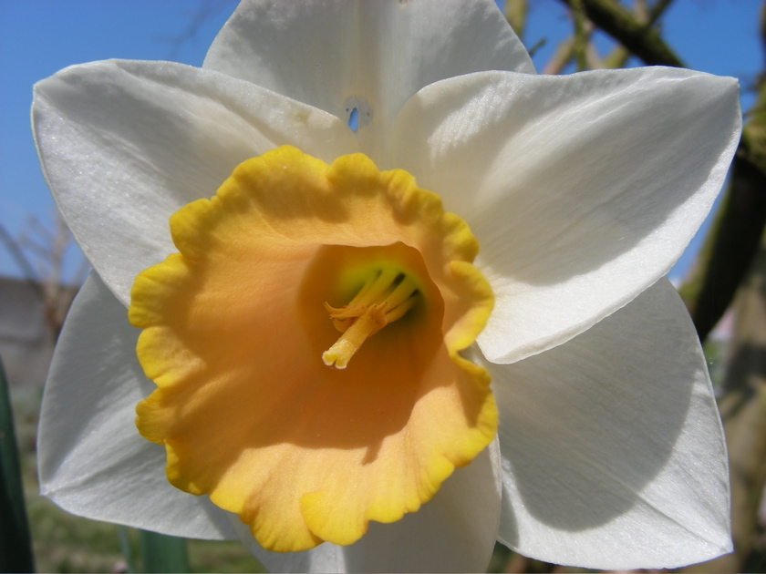 DSCN9178.JPG