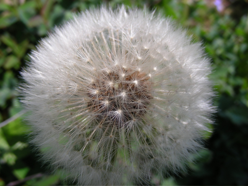 DSCN9227.JPG