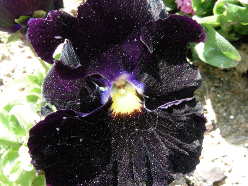 DSCN9230.JPG