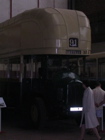 DSCN1529.JPG
