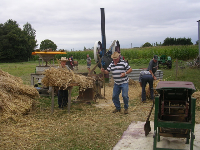 DSCN7185.JPG