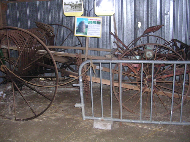 DSCN7206.JPG