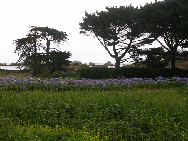 DSCN6834.JPG
