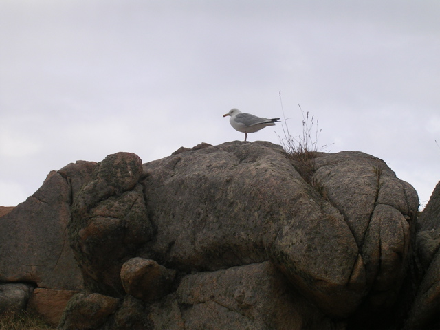 DSCN6841.JPG