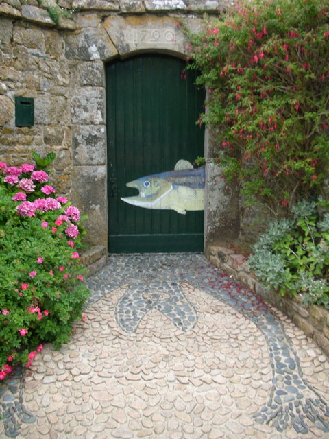 DSCN6745.JPG