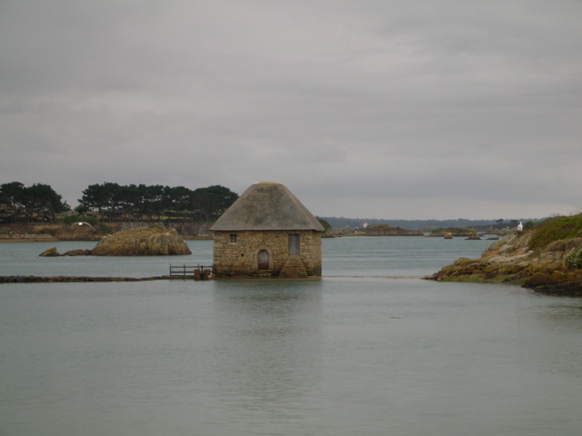 DSCN6746.JPG