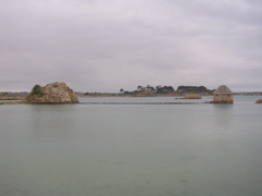 DSCN6825.JPG