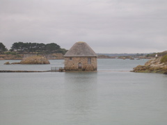 DSCN6826.JPG