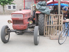 DSCN6830.JPG