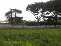DSCN6834.JPG