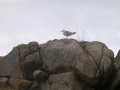 DSCN6841.JPG