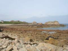 DSCN6842.JPG