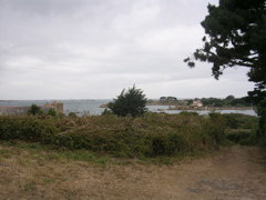 DSCN6817.JPG