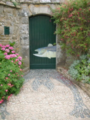 DSCN6745.JPG