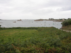 DSCN6823.JPG