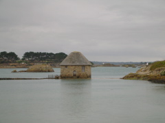 DSCN6746.JPG