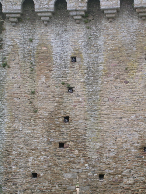 Chateau de Succino - Morbihan - 9