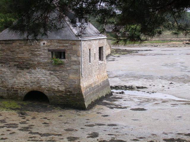 St Armel (marais salans) - Morbihan - 6
