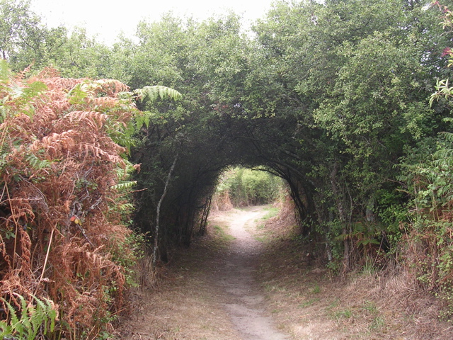 St Armel (marais salans) - Morbihan - 8