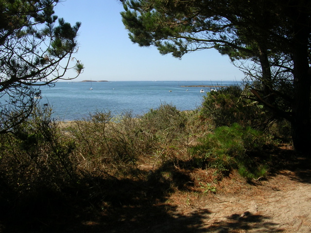 Aux alentours de Locmariaquer - 1