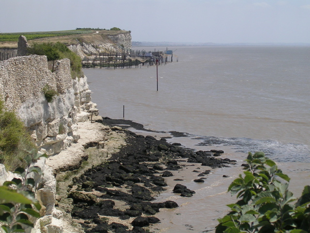 Talmont sur gironde - Charente Maritime - 2