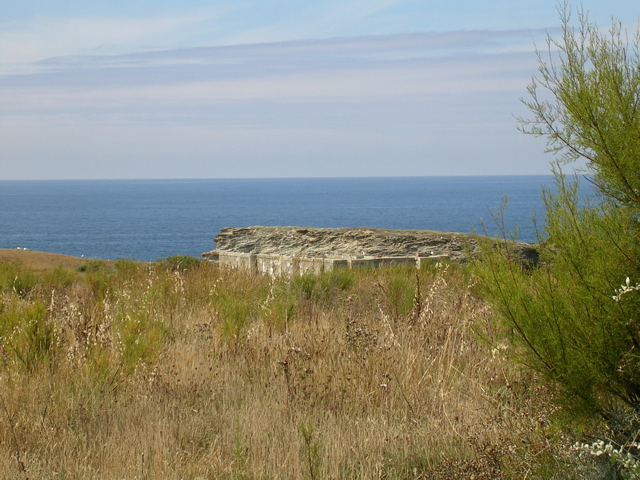 Belle-ile en mer (pointe des poulains) - Morbihan - 1