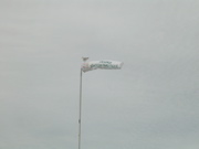 Mouette de St Malo
