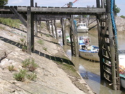 Talmont sur gironde - Charente Maritime - 7